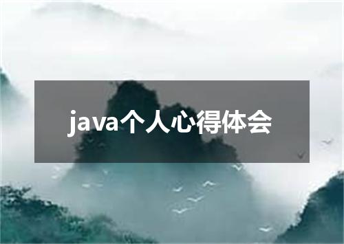 java个人心得体会