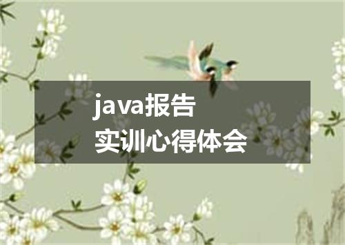 java报告实训心得体会