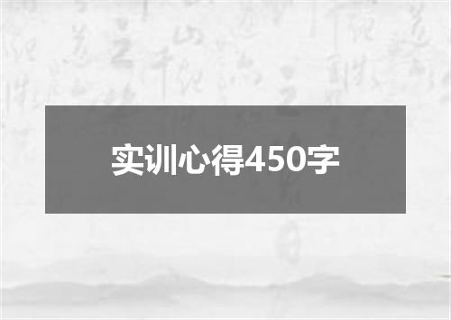 实训心得450字