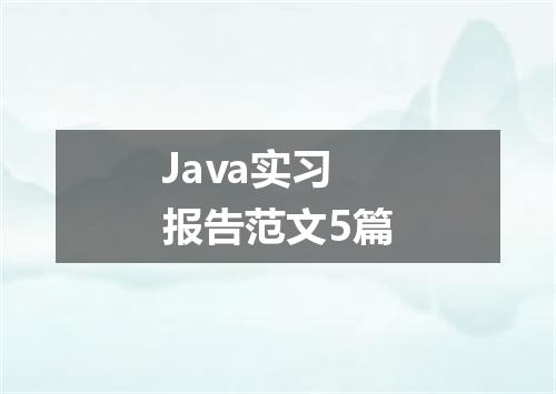 Java实习报告范文5篇