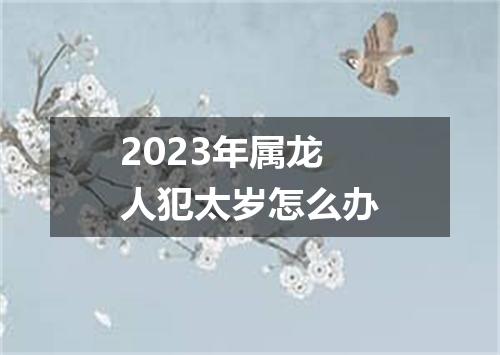 2023年属龙人犯太岁怎么办