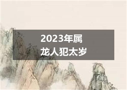 2023年属龙人犯太岁