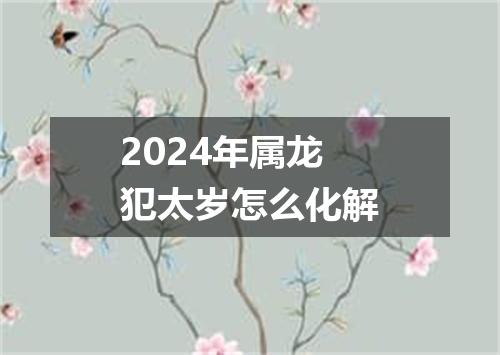 2024年属龙犯太岁怎么化解