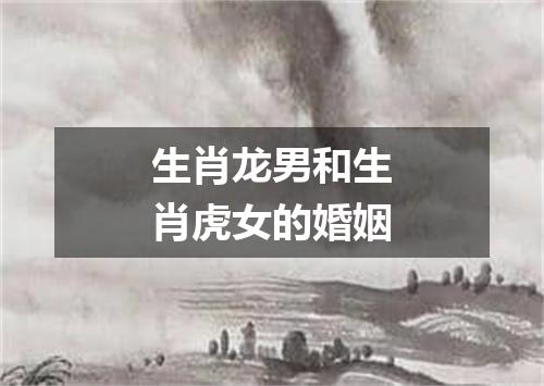 生肖龙男和生肖虎女的婚姻