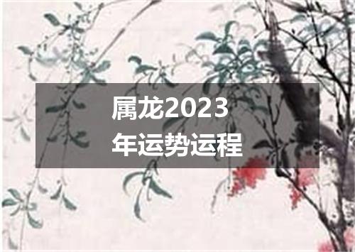 属龙2023年运势运程