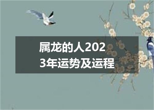 属龙的人2023年运势及运程