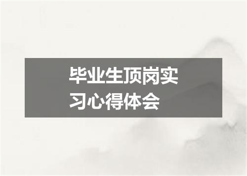 毕业生顶岗实习心得体会