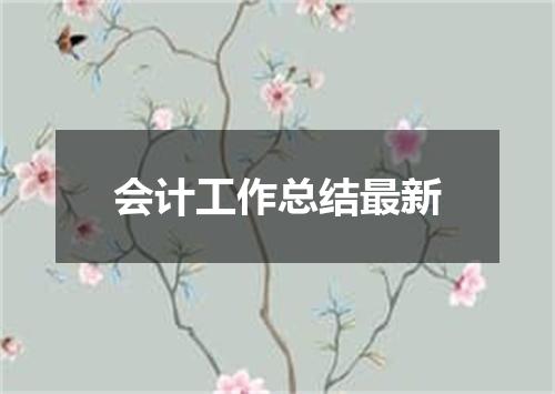 会计工作总结最新