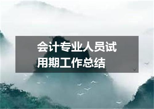 会计专业人员试用期工作总结