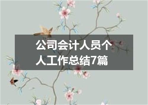 公司会计人员个人工作总结7篇