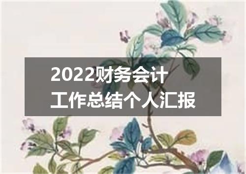 2022财务会计工作总结个人汇报