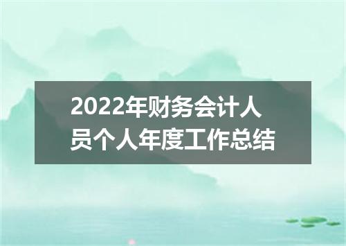 2022年财务会计人员个人年度工作总结