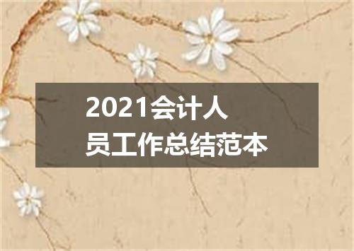 2021会计人员工作总结范本