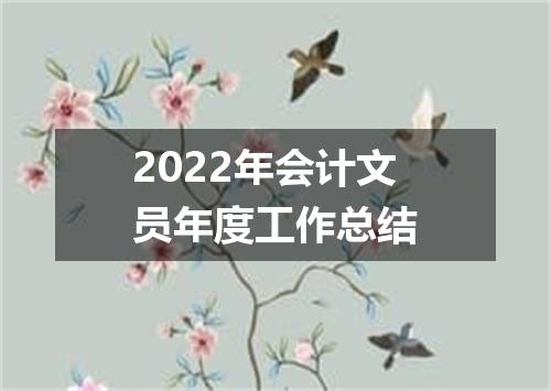 2022年会计文员年度工作总结