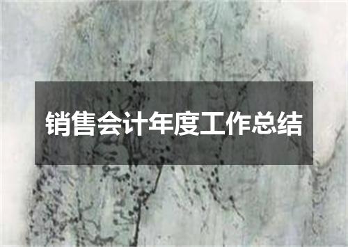 销售会计年度工作总结