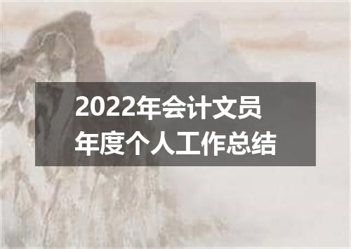 2022年会计文员年度个人工作总结