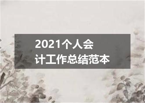 2021个人会计工作总结范本