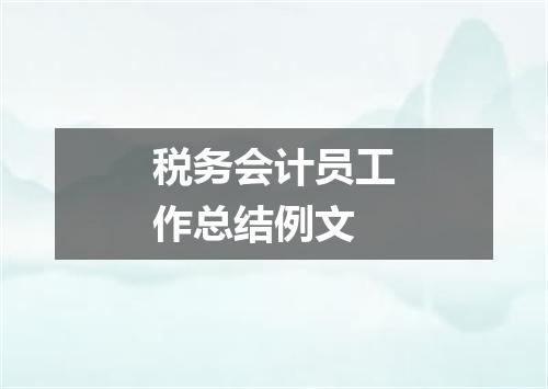 税务会计员工作总结例文