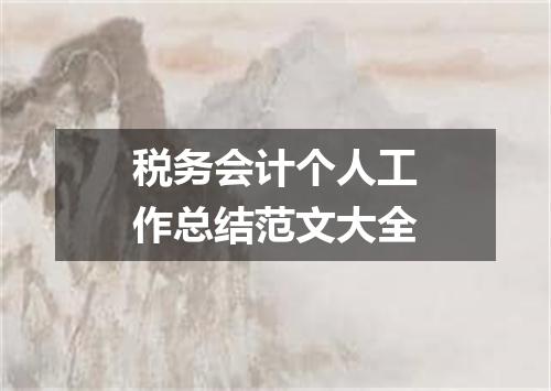 税务会计个人工作总结范文大全
