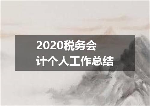 2020税务会计个人工作总结