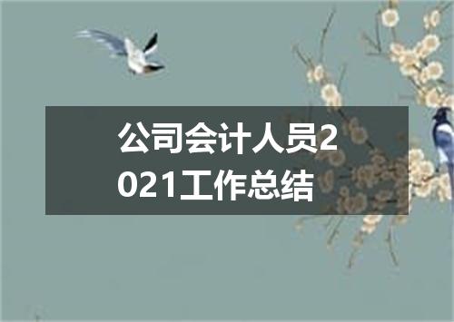 公司会计人员2021工作总结