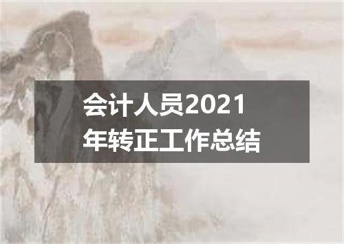 会计人员2021年转正工作总结