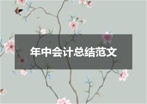 年中会计总结范文