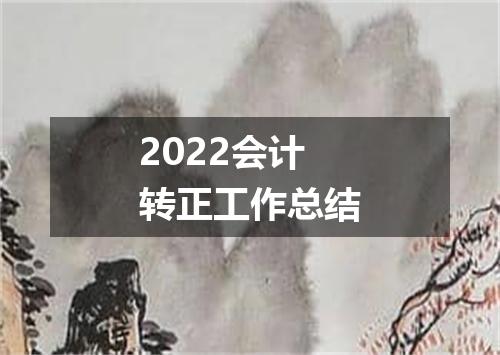 2022会计转正工作总结