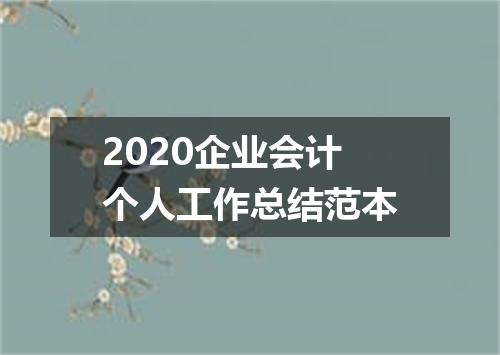 2020企业会计个人工作总结范本