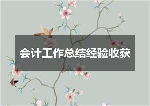 会计工作总结经验收获