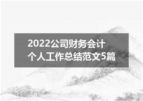 2022公司财务会计个人工作总结范文5篇