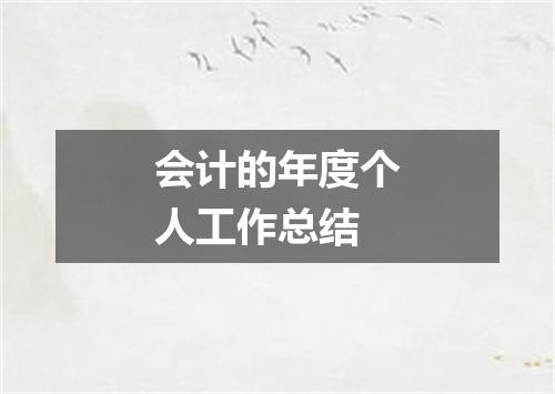 会计的年度个人工作总结