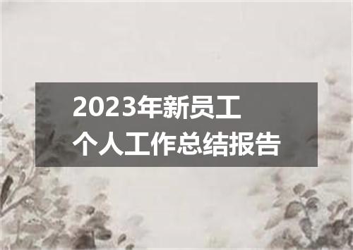 2023年新员工个人工作总结报告