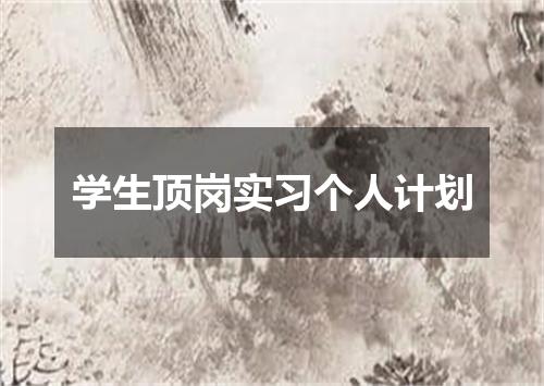 学生顶岗实习个人计划