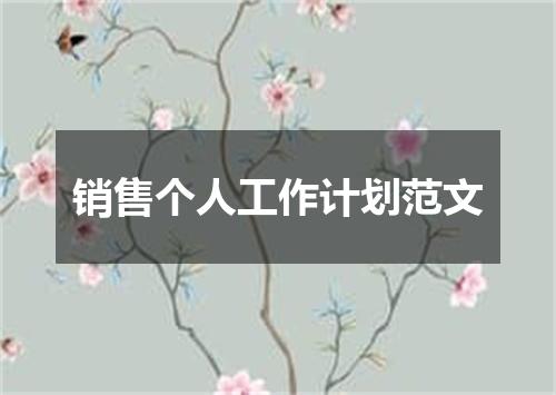 销售个人工作计划范文