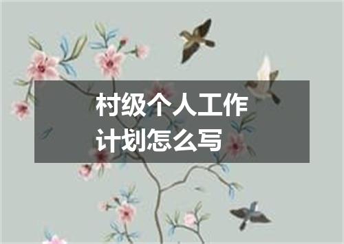 村级个人工作计划怎么写