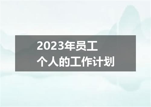 2023年员工个人的工作计划