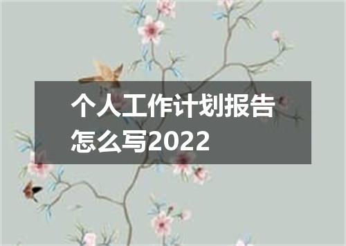 个人工作计划报告怎么写2022