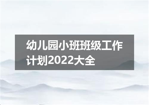 幼儿园小班班级工作计划2022大全