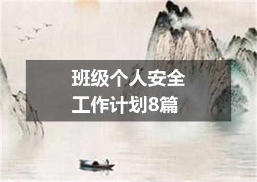 班级个人安全工作计划8篇