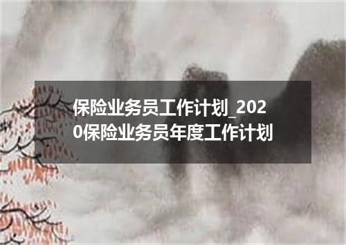 保险业务员工作计划_2020保险业务员年度工作计划