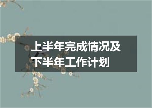 上半年完成情况及下半年工作计划
