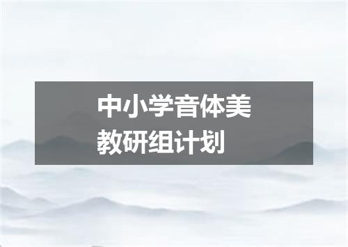 中小学音体美教研组计划
