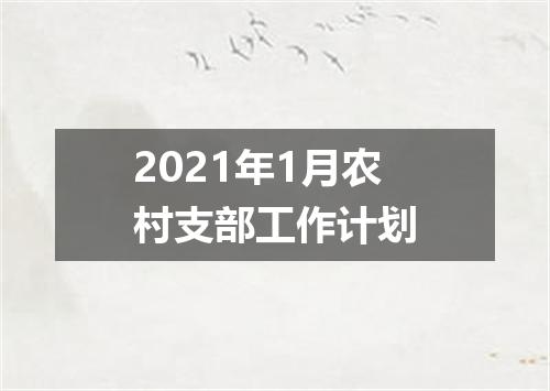 2021年1月农村支部工作计划