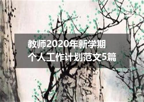 教师2020年新学期个人工作计划范文5篇