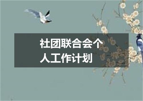 社团联合会个人工作计划