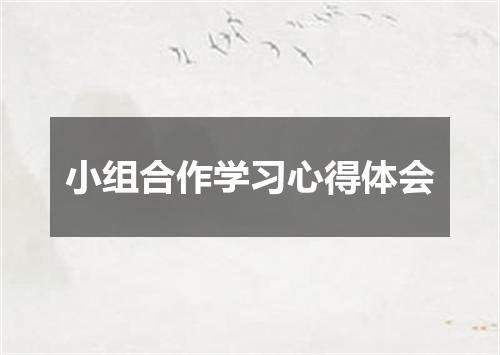 小组合作学习心得体会