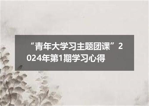“青年大学习主题团课”2024年第1期学习心得