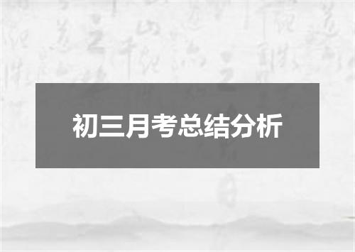 初三月考总结分析
