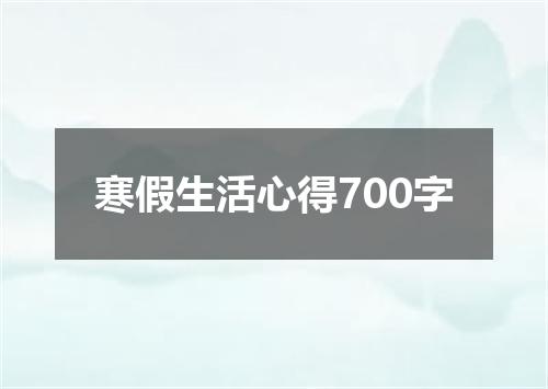 寒假生活心得700字
